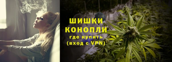 ALPHA PVP Иннополис