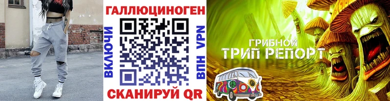 Галлюциногенные грибы GOLDEN TEACHER Теберда